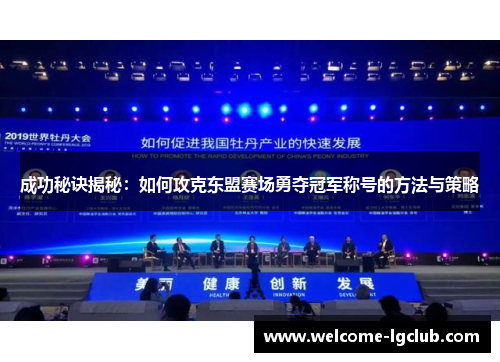 成功秘诀揭秘：如何攻克东盟赛场勇夺冠军称号的方法与策略