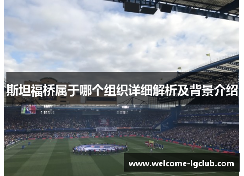 斯坦福桥属于哪个组织详细解析及背景介绍